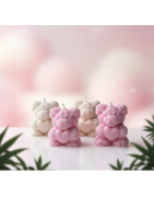 Spécial événements